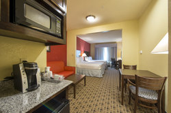  - Holiday Inn Express & Suites Webster - I-45, Exit 25