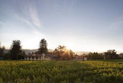  - Napa Valley Lodge Yountville
