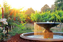  - Napa Valley Lodge Yountville