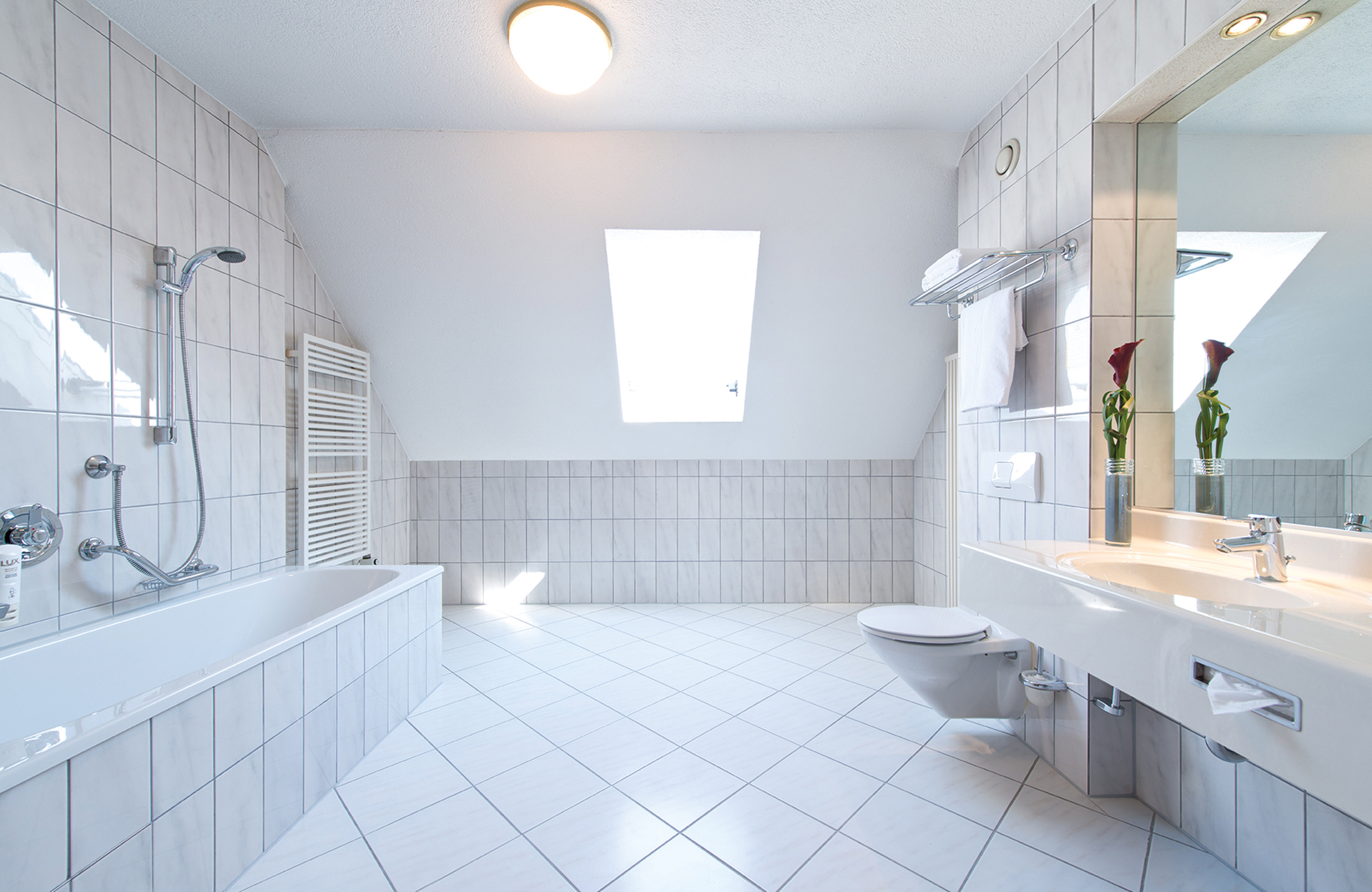 Leonardo Heidelberg-Walldorf-guestroom-Guest Bathroom.jpg