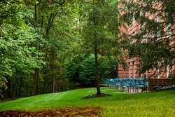  - Marriott Westfields Resort Chantilly