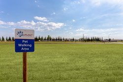  - Candlewood Suites Minot