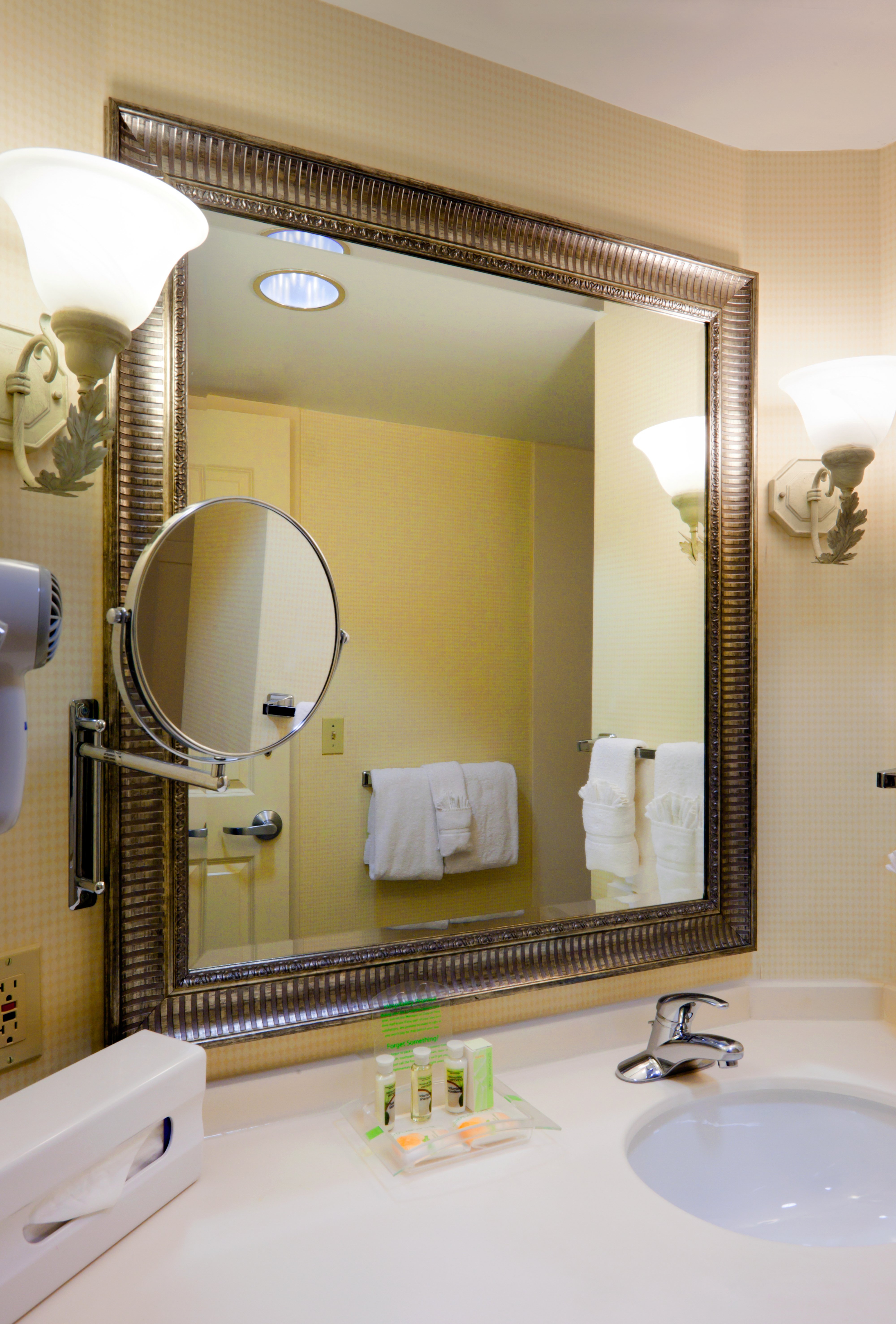 HOLIDAY INN CHANTILLY-DULLES E BY I-guestroom-Guest Bathroom.jpg