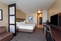  - Holiday Inn Express & Suites Anaheim - I-5, Exit 110