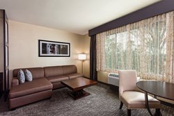  - Holiday Inn Express & Suites Anaheim - I-5, Exit 110