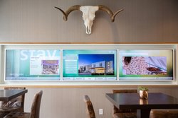  - SpringHill Suites by Marriott Cedar Park