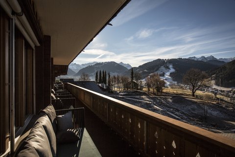 HUUS GSTAAD HOTEL - Photo 19