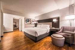  - Holiday Inn & Suites Beaumont Plaza - I-10, Exit 848