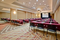  - Crowne Plaza Hotel Med Center Houston