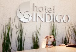  - Hotel Indigo Gaslamp Quarter San Diego