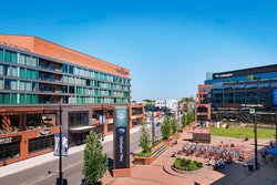  - Hotel Zachary Wrigley Field Chicago