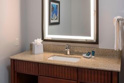  - Four Points by Sheraton Hotel Hobby Airport Houston - I-45, Exit 38