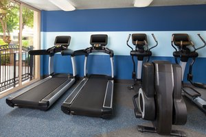 Recreation - Four Points by Sheraton Hotel San Jose Airport