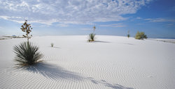  - Holiday Inn Express & Suites North Las Cruces - I-25, Exit 6