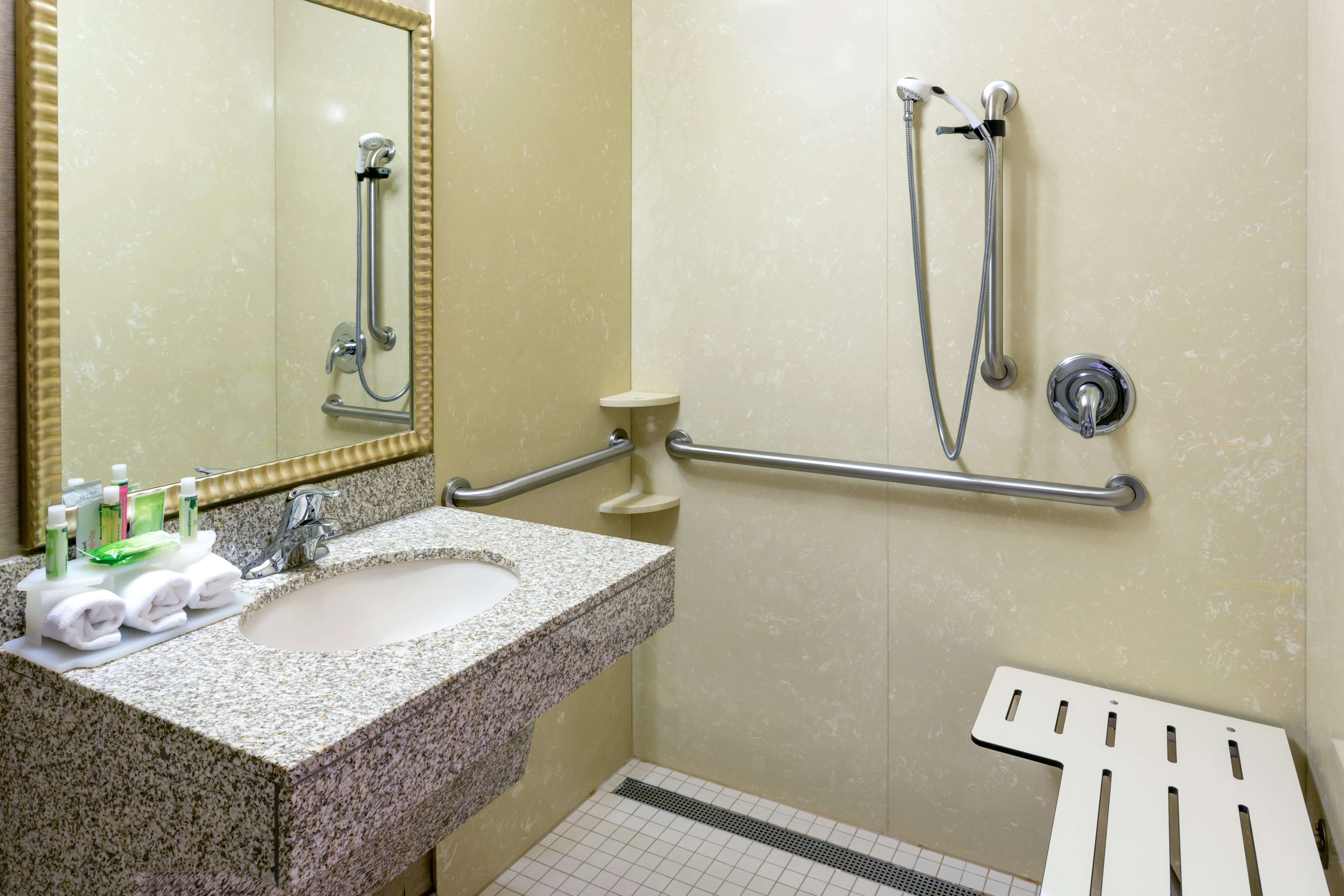 ADA/Handicapped accessible Guest Bathroom with roll-in shower