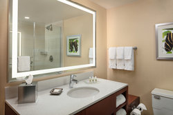  - Holiday Inn Town Lake Austin - I-35, Exit 233