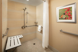  - Holiday Inn Town Lake Austin - I-35, Exit 233