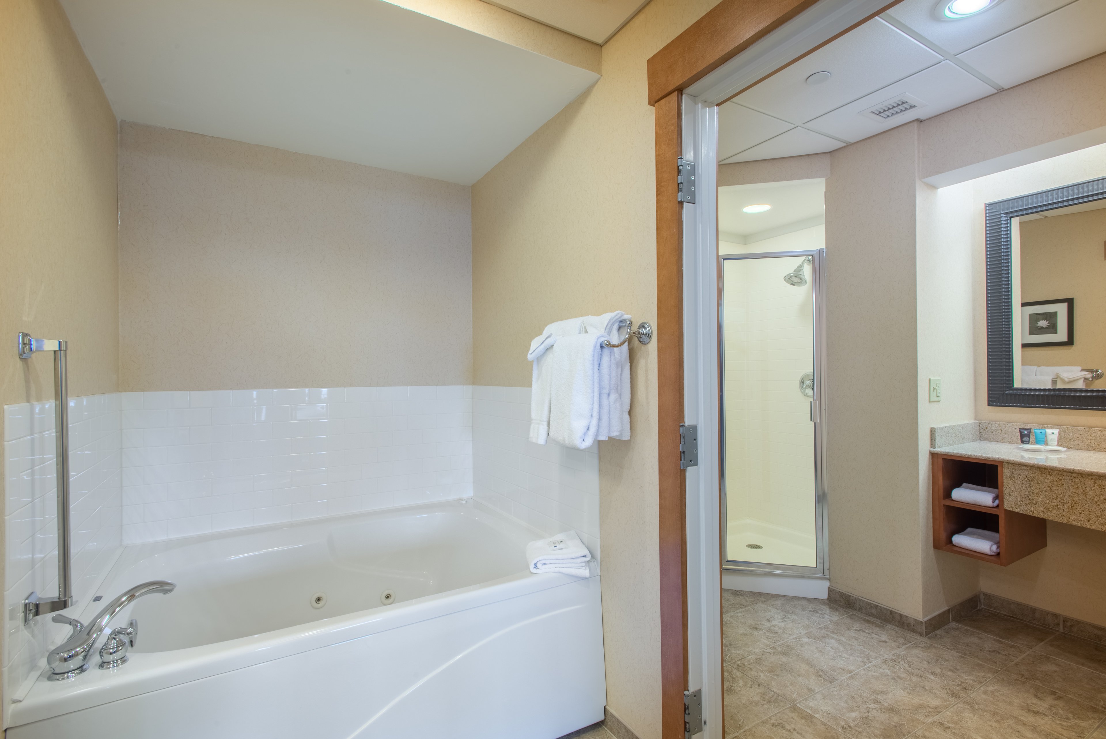 Suite Bathroom (Adirondack Wing)