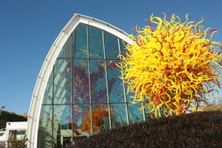  - Holiday Inn Seattle