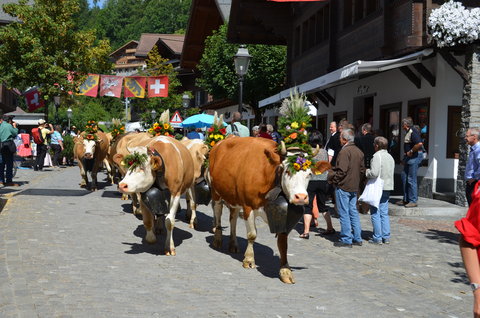 THE ALPINA GSTAAD LEG - Photo 41