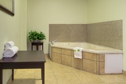  - Holiday Inn Express & Suites Kansas City - I-435, Exit 66