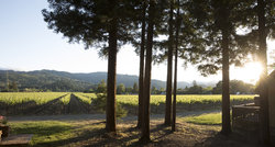  - Harvest Inn St Helena