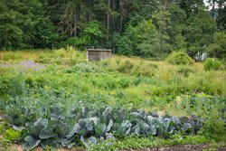  - Hastings House Salt Spring Island