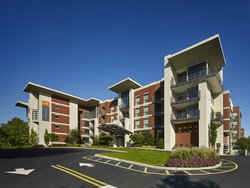  - AVE Apartments Clifton