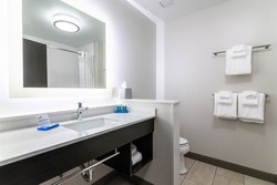  - Holiday Inn Express & Suites Allen Park