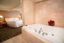  - Four Points by Sheraton Hotel Plainview