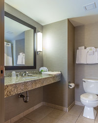  - Holiday Inn Express Auburn - I-290, Exit 12
