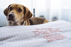  - Westin Hotel Crystal City Arlington