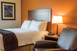  - My Place Hotel Hastings