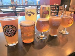  - Holiday Inn & Suites Carol Stream