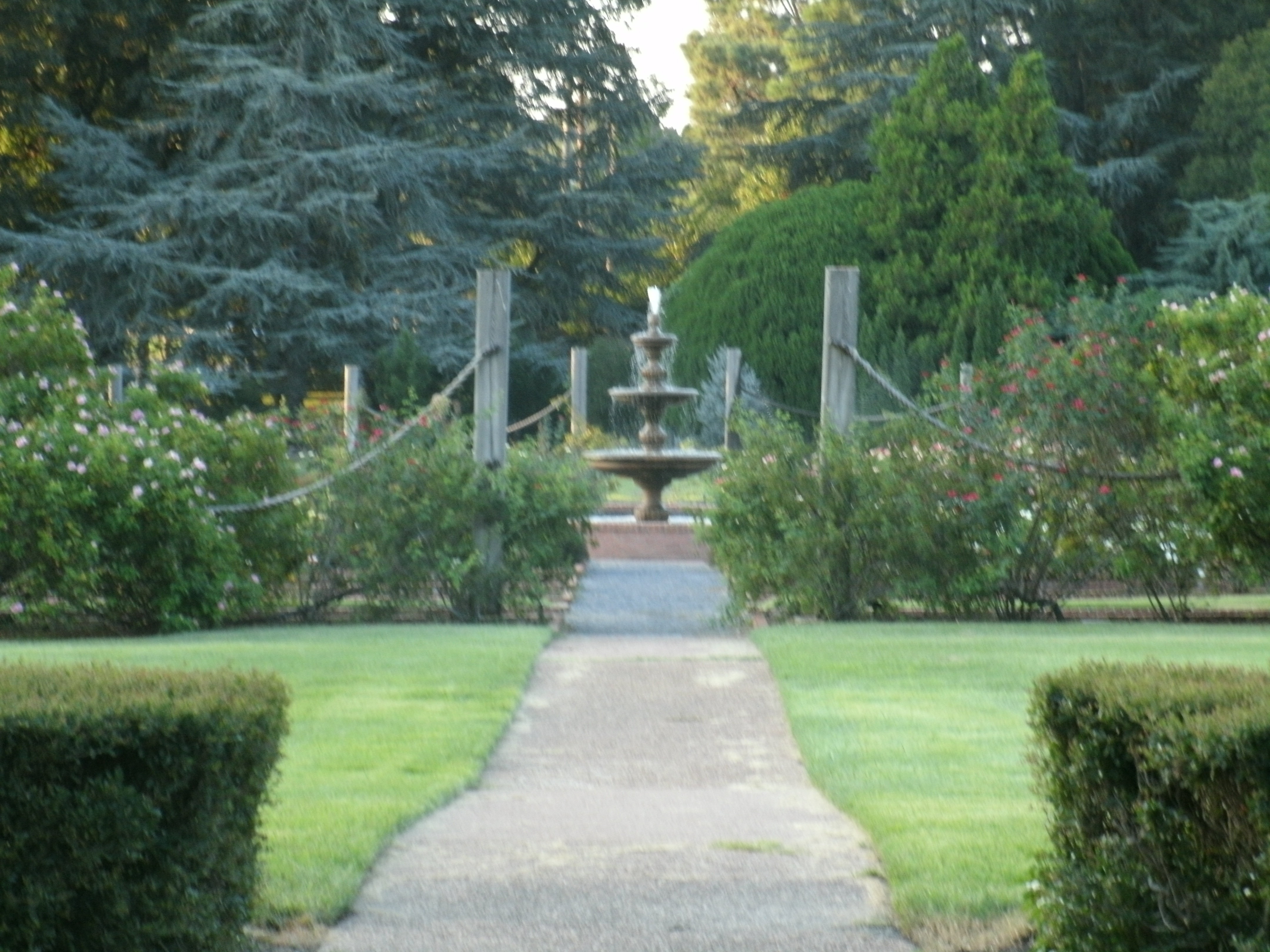 The Botanical Gardens 