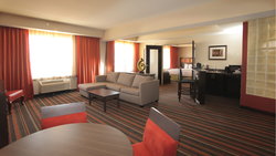  - Holiday Inn West Medical Center Amarillo - I-40, Exit 65