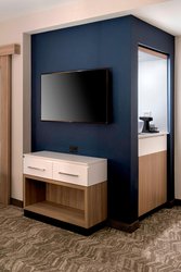 - SpringHill Suites by Marriott Land O Lakes