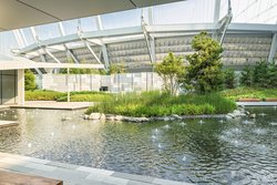  - Douglas Hotel Parq Vancouver