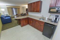  - Holiday Inn Express & Suites McDonough - I-75, Exit 218