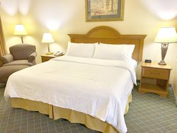  - Holiday Inn Express & Suites Alice