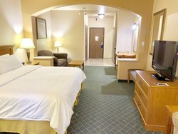  - Holiday Inn Express & Suites Alice