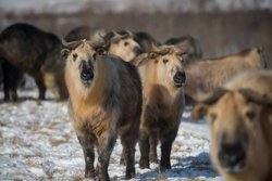  - Holiday Inn Express & Suites Zanesville