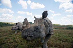  - Holiday Inn Express & Suites Zanesville