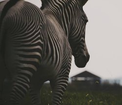  - Holiday Inn Express & Suites Zanesville