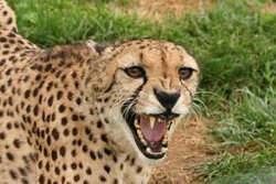  - Holiday Inn Express & Suites Zanesville