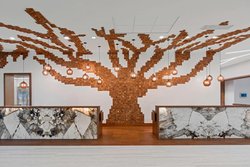  - SpringHill Suites by Marriott Downtown Greenville