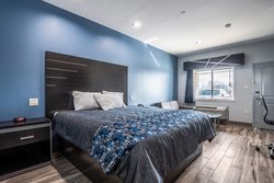  - Scottish Inn & Suites Katy - I-10, Exit 743 & 743A