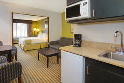  - Holiday Inn Express & Suites Kalamazoo - I-94, Exit 80