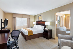  - Holiday Inn Express & Suites Palestine