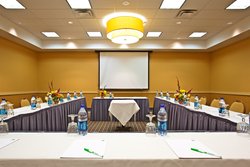  - Holiday Inn Elk Grove Village